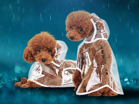 Dog Waterproof Raincoat - Hoopet™ Small Dog Raincoat