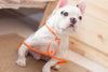 Image of Dog Waterproof Raincoat - Hoopet™ Small Dog Raincoat