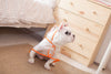 Image of Dog Waterproof Raincoat - Hoopet™ Small Dog Raincoat